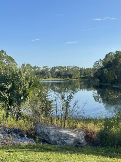 Buckingham Dog Park - Fort Myers, FL