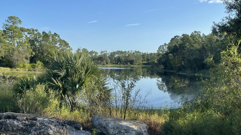 Buckingham Dog Park - Fort Myers, FL