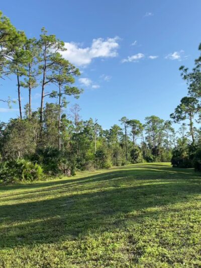 Buckingham Dog Park - Fort Myers, FL