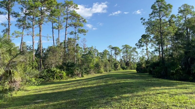 Buckingham Dog Park - Fort Myers, FL