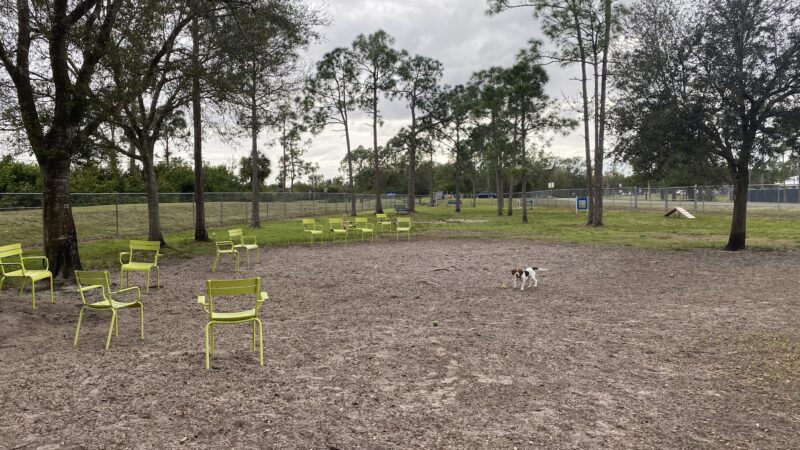 Buckingham Dog Park - Fort Myers, FL