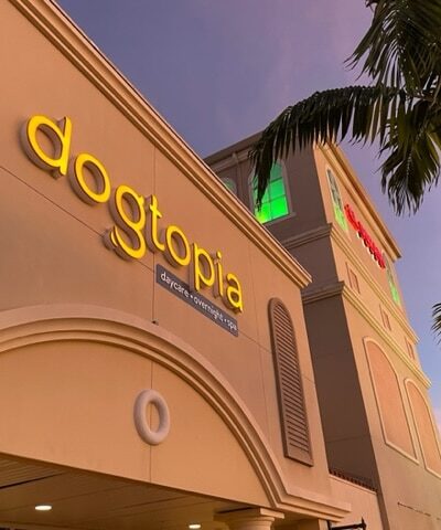 Dogtopia of Fort Myers- Daycare, Boarding, Spa - Fort Myers, FL