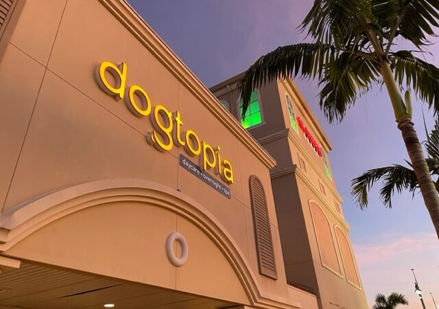 Dogtopia of Fort Myers- Daycare, Boarding, Spa - Fort Myers, FL