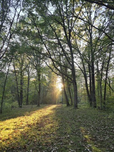 St. Mathias Park - Fort Ripley, MN