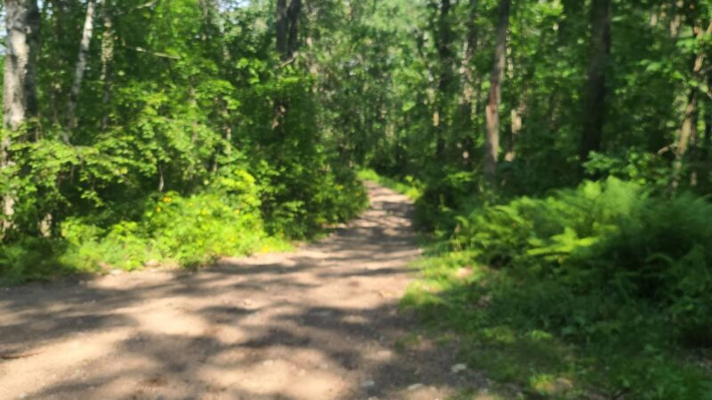 Fort Ripley Trail - Fort Ripley, MN