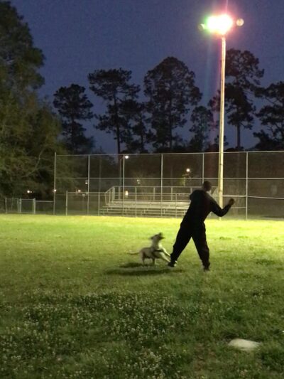 Dog Park - Fort Stewart, GA