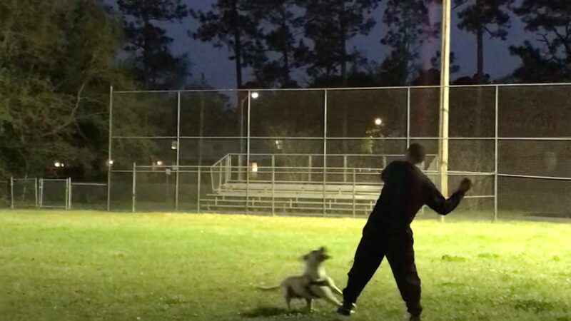 Dog Park - Fort Stewart, GA