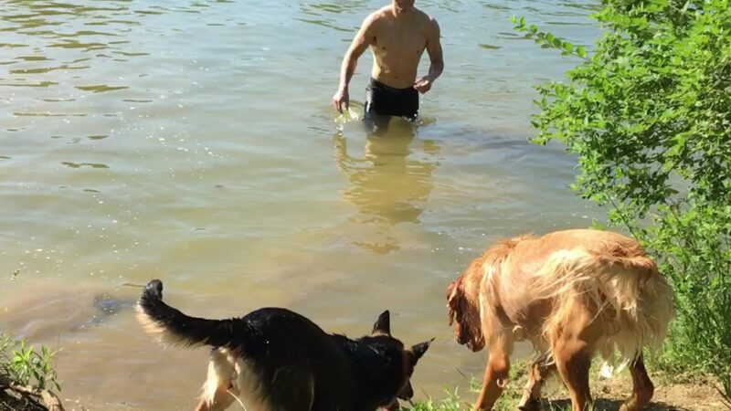 Fox Island County Park - Fort Wayne, IN