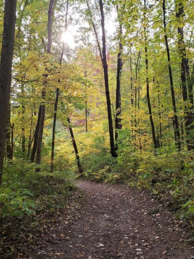 Fox Island County Park - Fort Wayne, IN