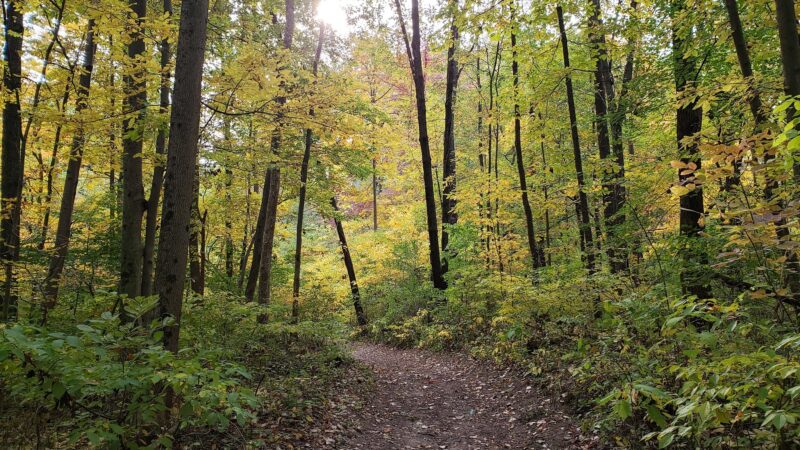 Fox Island County Park - Fort Wayne, IN