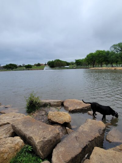 North Z Boaz Park - Fort Worth, TX