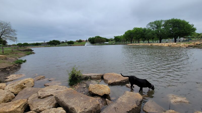 North Z Boaz Park - Fort Worth, TX