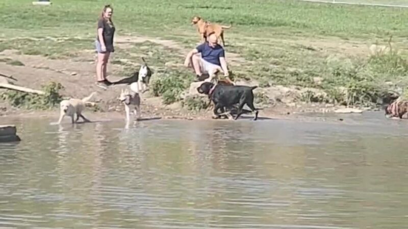 North Z Boaz Park - Fort Worth, TX