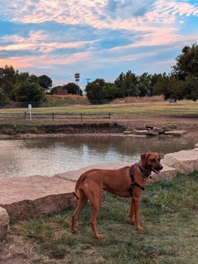 North Z Boaz Park - Fort Worth, TX