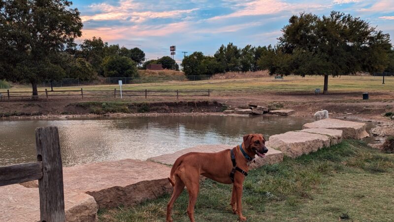 North Z Boaz Park - Fort Worth, TX