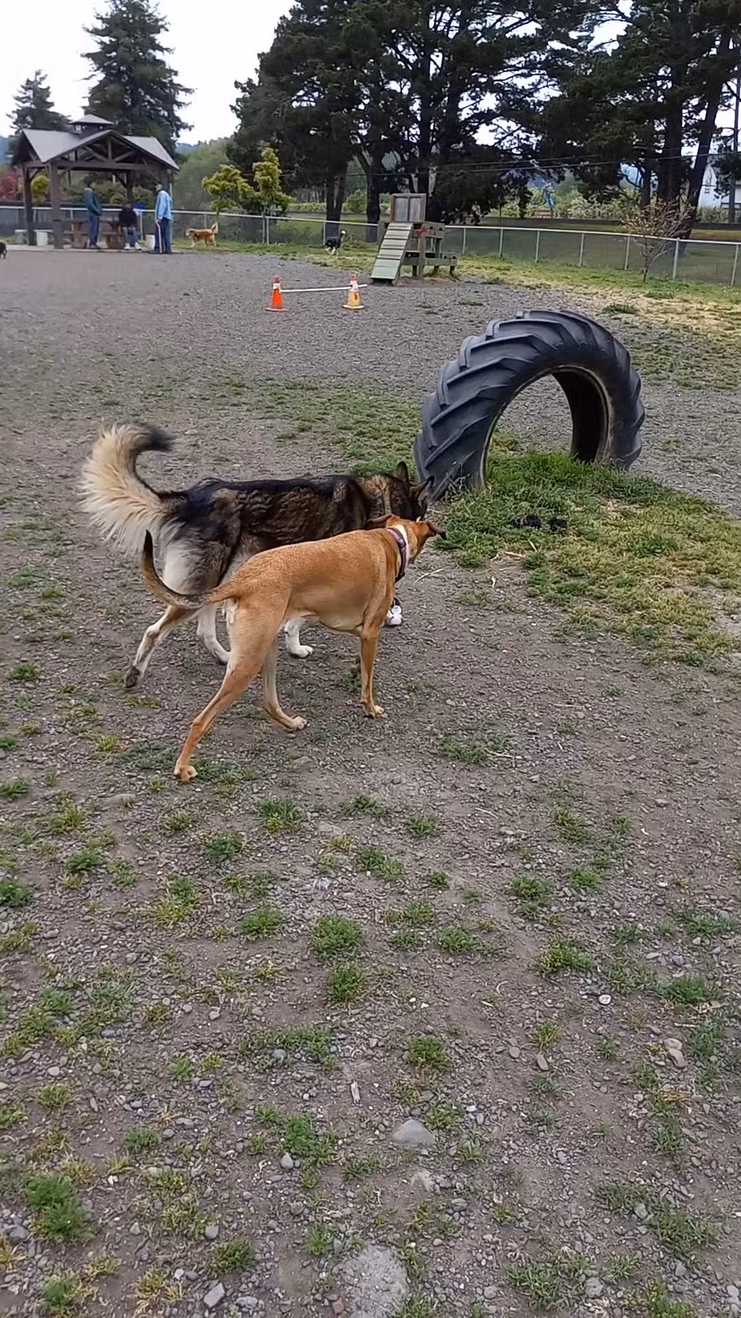 Fortuna Dog Park - Fortuna, CA