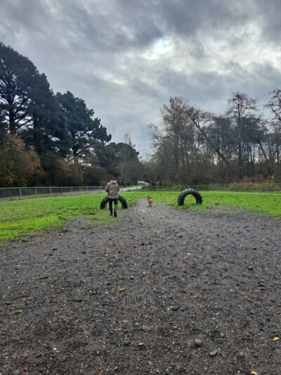 Fortuna Dog Park - Fortuna, CA