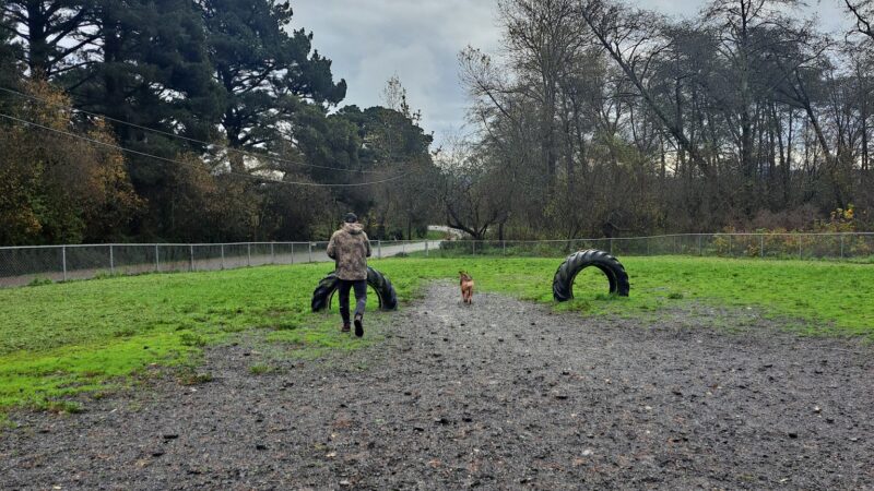 Fortuna Dog Park - Fortuna, CA