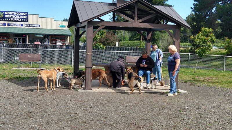 Fortuna Dog Park - Fortuna, CA