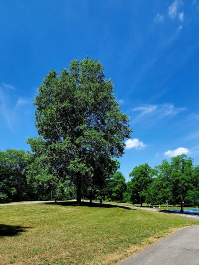 Memorial Park - Fortville, IN