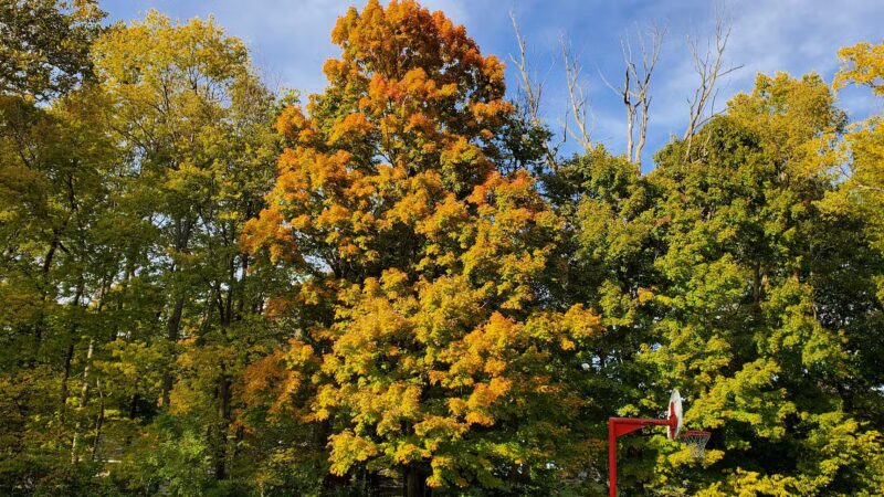 Memorial Park - Fortville, IN
