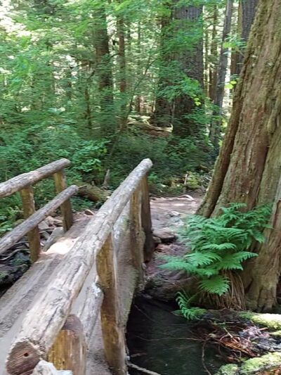 Tamolitch Trail Head - Foster, OR