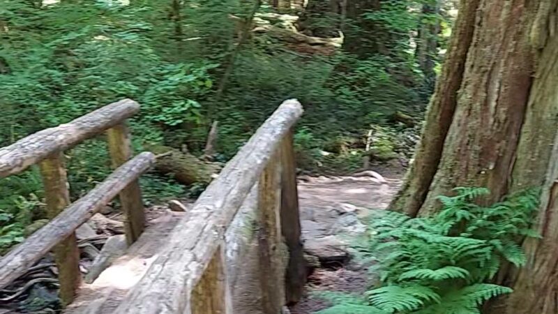 Tamolitch Trail Head - Foster, OR