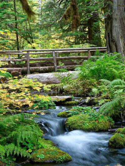 Tamolitch Trail Head - Foster, OR