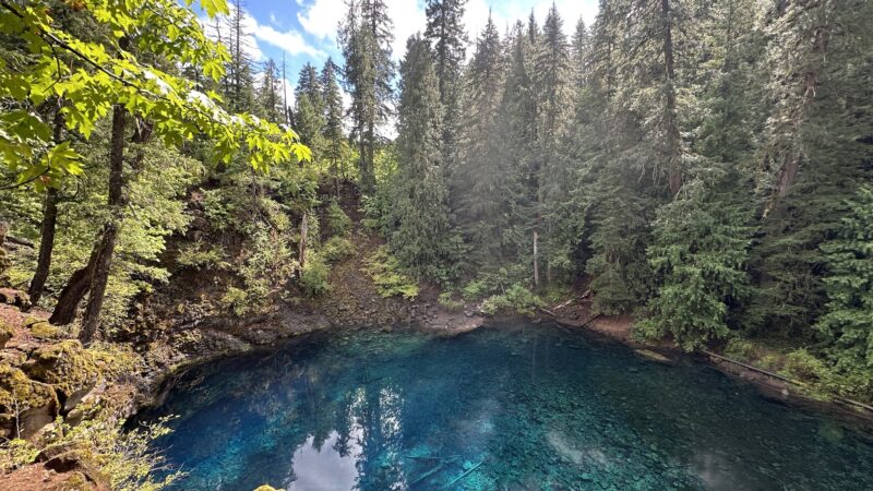 Tamolitch Trail Head - Foster, OR