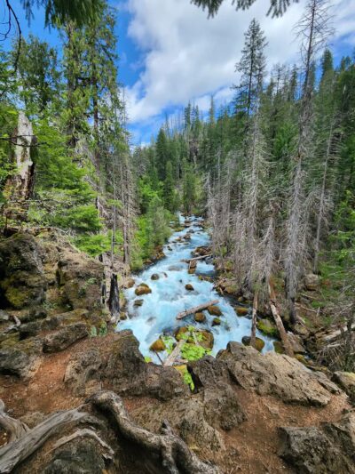 Tamolitch Trail Head - Foster, OR