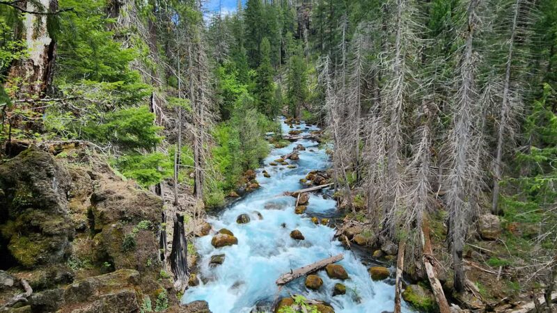 Tamolitch Trail Head - Foster, OR