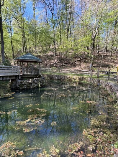 Lechauweki Springs - Fountain Hill, PA