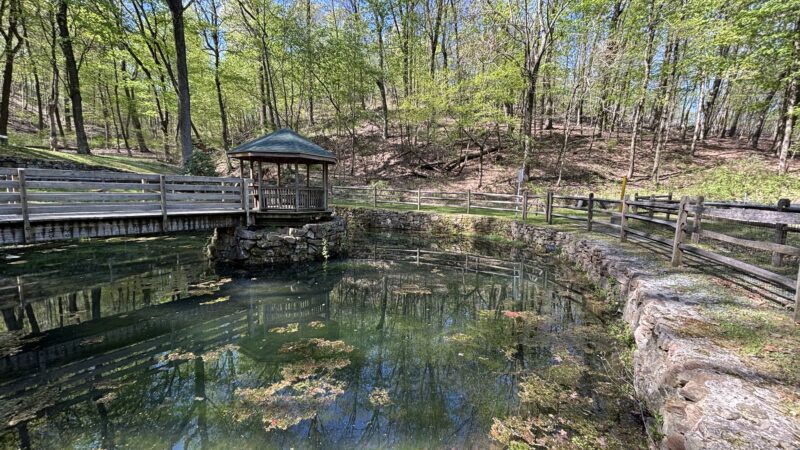 Lechauweki Springs - Fountain Hill, PA