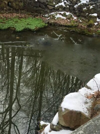 Lechauweki Springs - Fountain Hill, PA