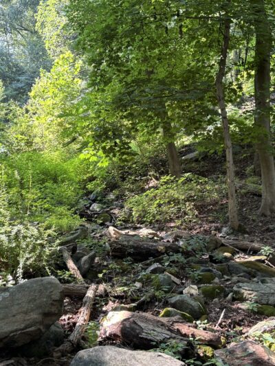 Lechauweki Springs - Fountain Hill, PA