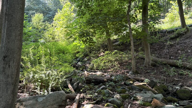 Lechauweki Springs - Fountain Hill, PA