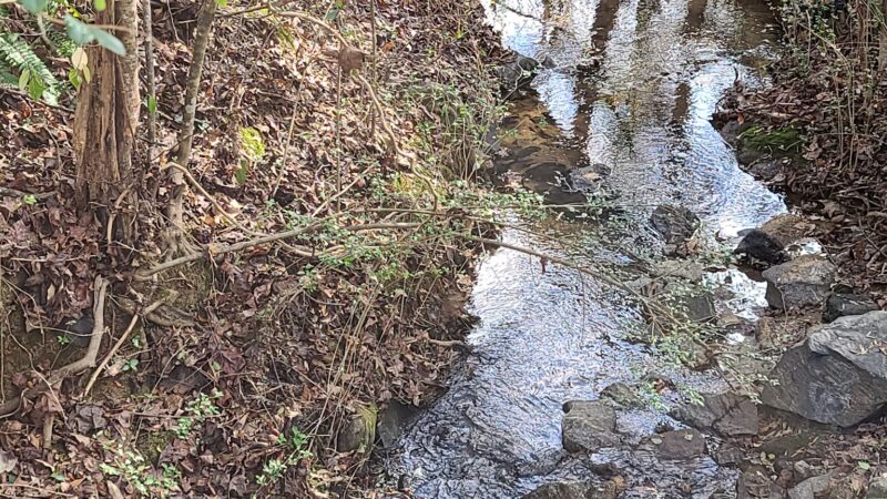 Trail Head for Swamp Rabbit Trail in Fountain Inn - Fountain Inn, SC