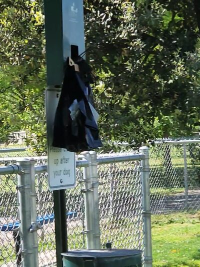 Donny Wright Park, Dog Park - Fowler, CA