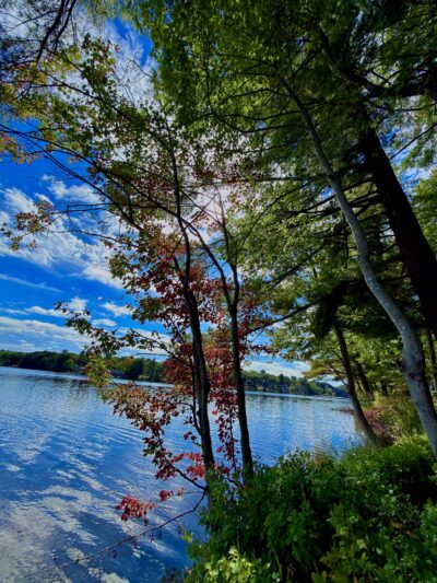 Storybook Trail - Foxborough, MA