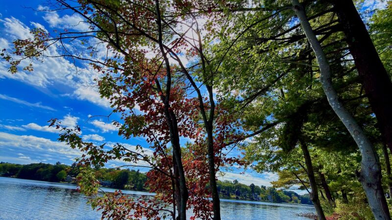 Storybook Trail - Foxborough, MA
