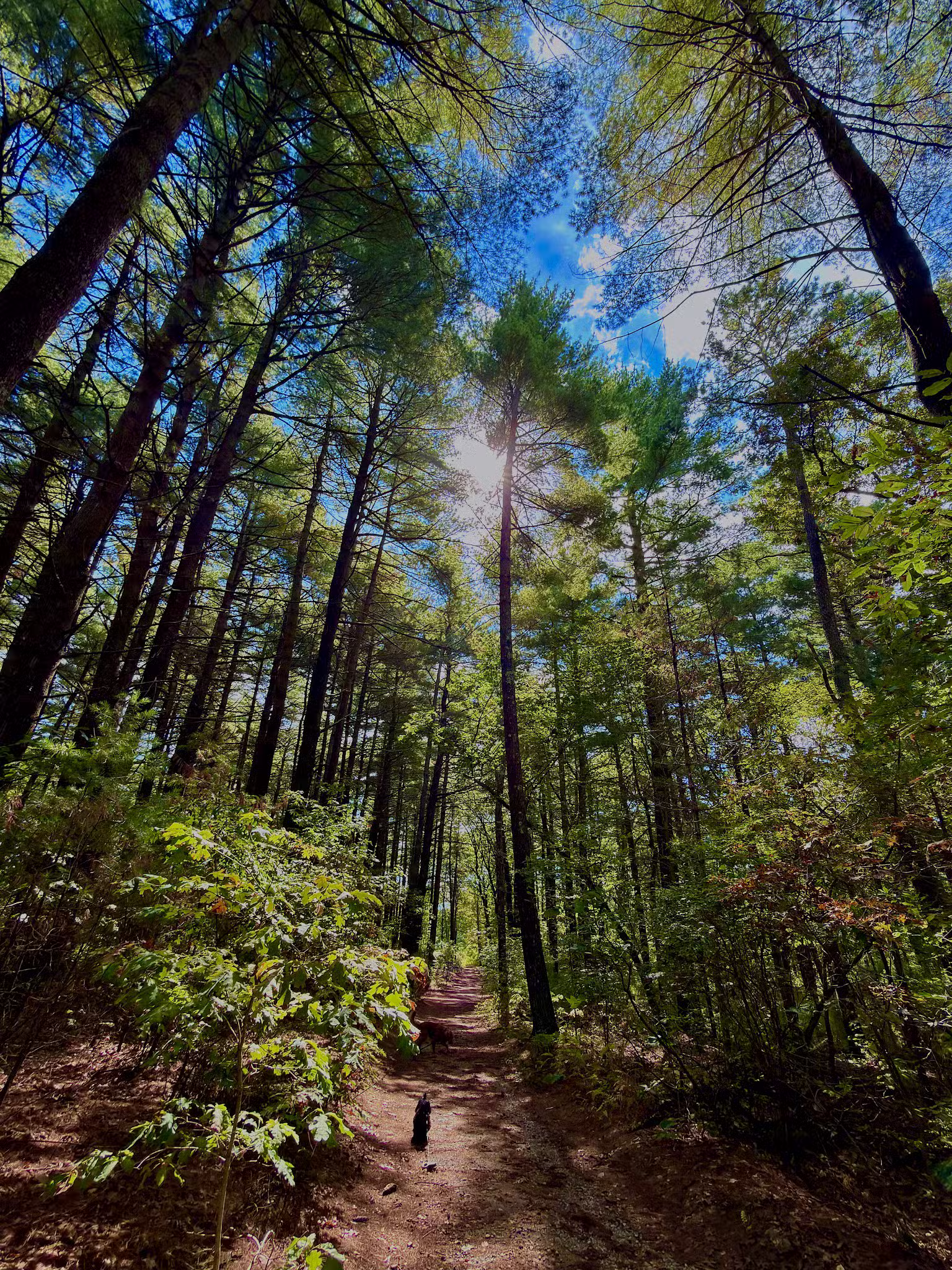 Storybook Trail - Foxborough, MA