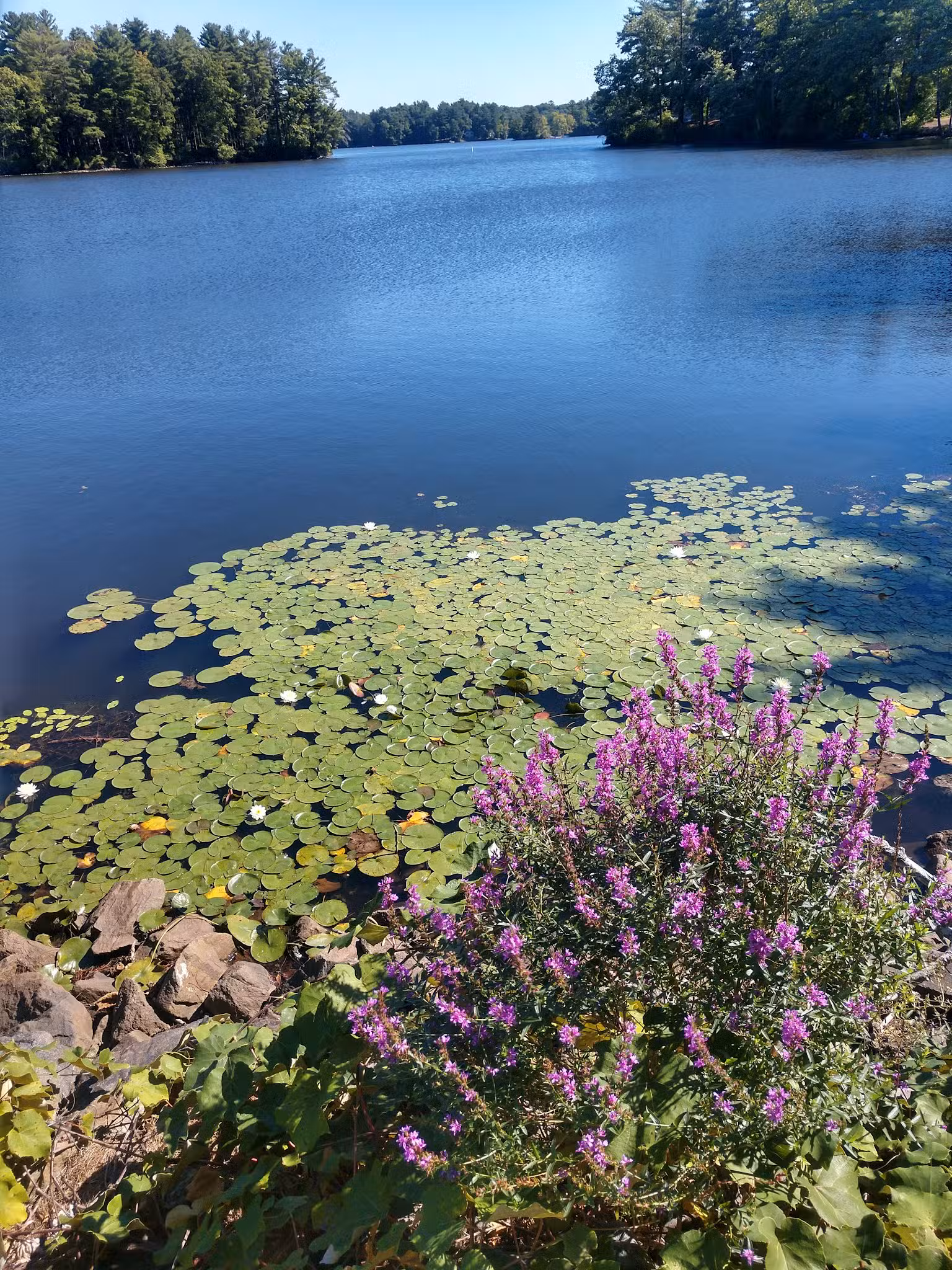 Storybook Trail - Foxborough, MA