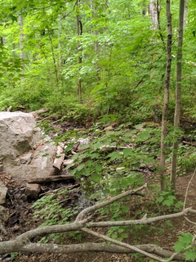 William O. Hocking, Jr. Memoral Trailhead - Foxborough, MA