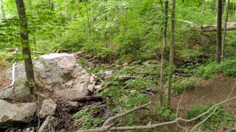 William O. Hocking, Jr. Memoral Trailhead - Foxborough, MA