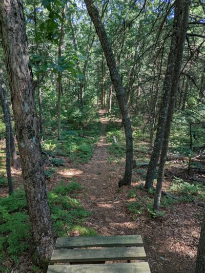 William O. Hocking, Jr. Memoral Trailhead - Foxborough, MA