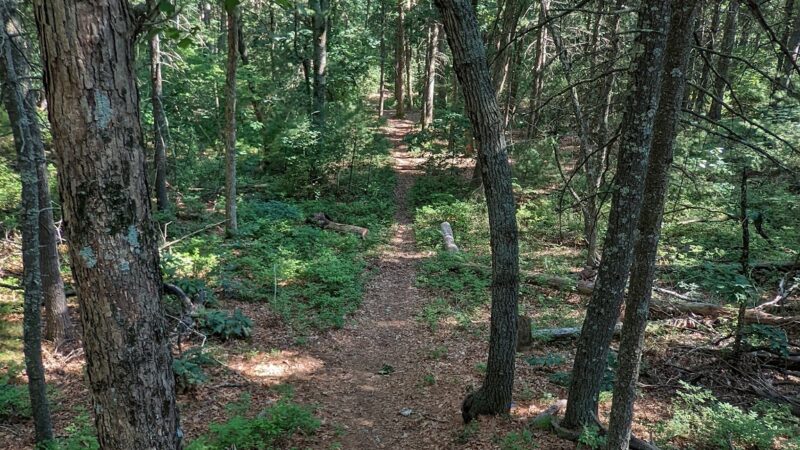 William O. Hocking, Jr. Memoral Trailhead - Foxborough, MA