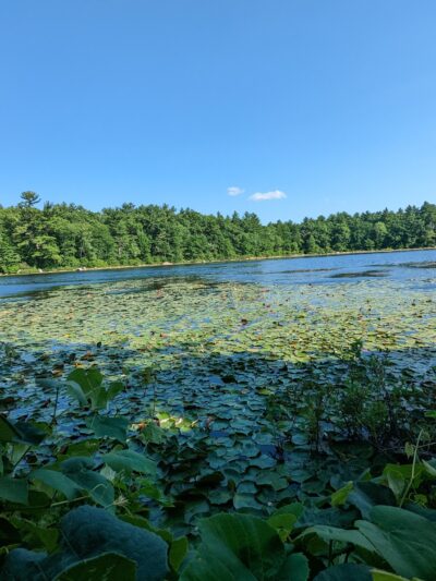 William O. Hocking, Jr. Memoral Trailhead - Foxborough, MA