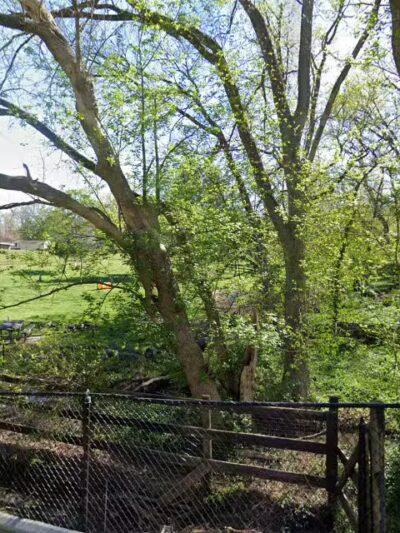 Bark Park - Frankfort, KY