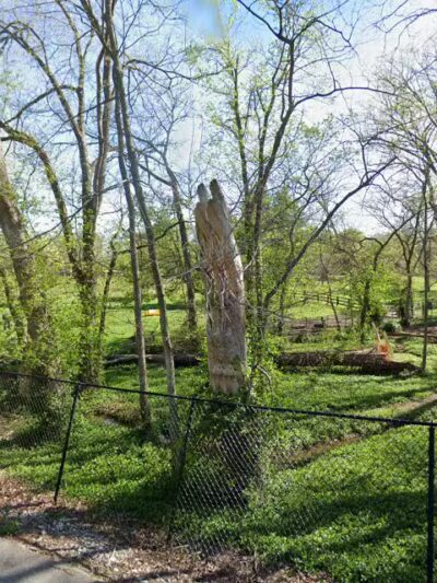 Bark Park - Frankfort, KY