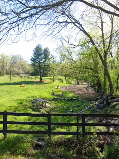 Bark Park - Frankfort, KY